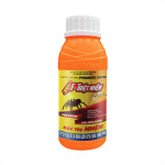 AF - TRIỆT NHỆN