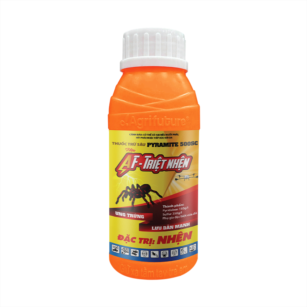 AF - TRIỆT NHỆN