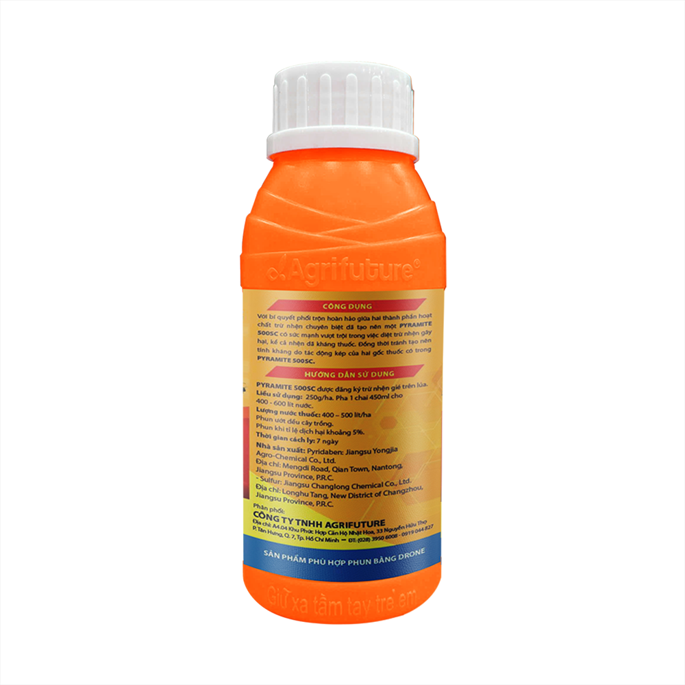 AF - TRIỆT NHỆN